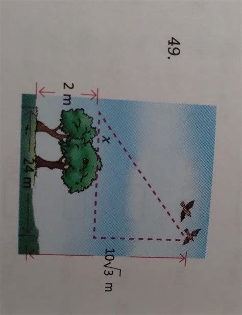 Solve For Variable Pasagot Po Salamat Ibrainliest Ko Magasagot