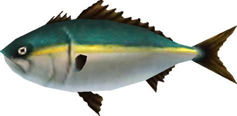 Ambrosial Amberjack Zelda Wiki