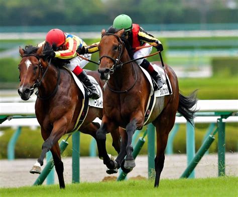 【pog】世界的良血シルヴァンシャーv「能力は高い」とmデムーロ競馬・レースデイリースポーツ Online