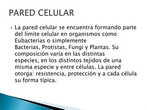 Organizaci N Estructura Y Actividad Celular Ppt