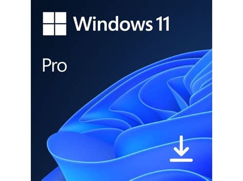 Windows 11 Pro Microsoft 64 Bit ESD FQC 10572