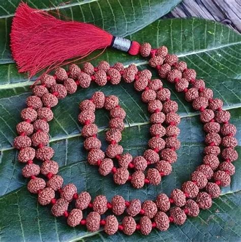 26 Inch Brown Rudraksha Mala 70 Gm Shape Round At Rs 60 In Mathura