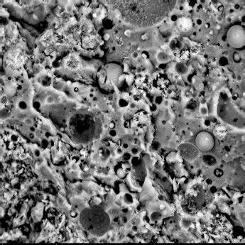 Sem Micrograph Showing The Microstructure Details Of The Hcfa