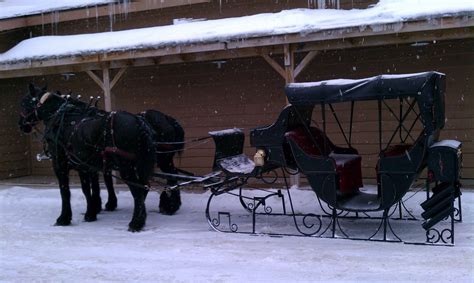 Winter Wedding Sleigh Ride Double Jj Resort