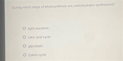 Solved During Which Stage Of Photosynthesis Are Chegg Chegg