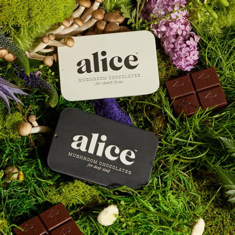 Mushroom Chocolates For Energetic Days And Restful Nights Alice