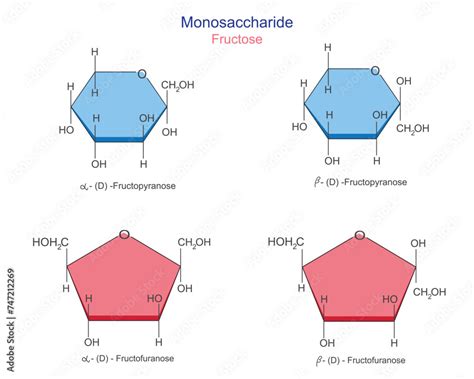 Molecular Structure Of Monosaccharide Fructose Monosaccharides Monomer Of Carbohydrate