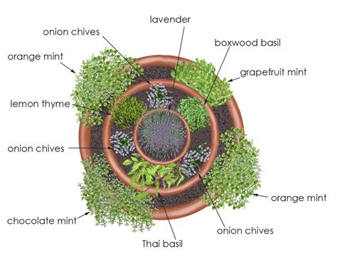 Garden Ideas: Herb Container Garden - McGregor General Store