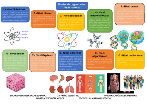 Mapa Conceptual De Los Niveles De Organizacion De La Materia Acerca