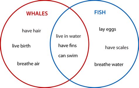 Strategies: Identifying Similarities & Differences - Mrs. Blaisdell's ... 
