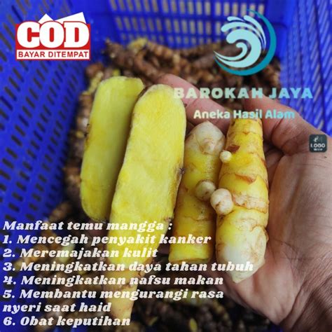 Jual Temu Mangga Curcuma Amada Segar Kg Shopee Indonesia