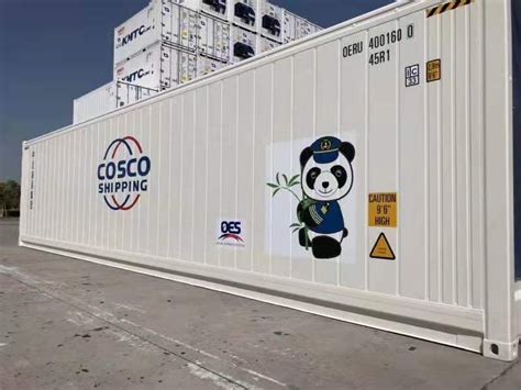 New Iso Standard Ft Freezing Reefer Shipping Container For Sale