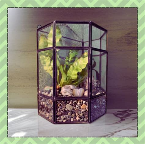 REDHUGO Hanging Glass Plant Terrarium Review - HouseplantJoy.com