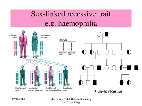 Ppt Chapter 14 Genetic Screening And Counselling Powerpoint