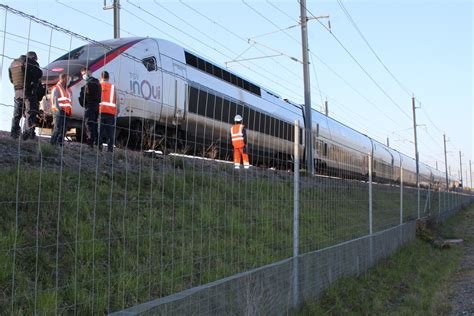 Indre Et Loire Six Heures De Retard Pour Le Tgv Immobilisé à Maillé