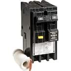 Square D Homeline Pole Circuit Breaker Hom Cp The Home Depot