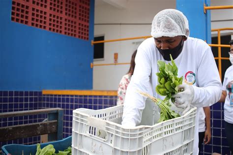 Banco De Alimentos Distribui Mais De Mil Toneladas De Alimentos No