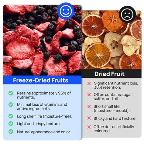 small freeze drying machine 2