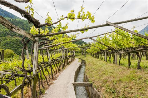 Waalwege in Südtirol Unsere Favoriten im Überblick