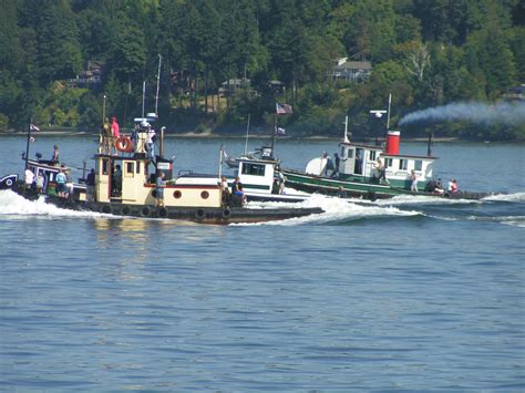 Tug Boat Races Swamp Olympia | Nisqually Valley News