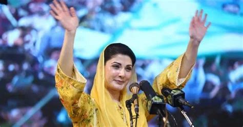 ن لیگ کی تنظیم نو، مریم نواز کو سینئر نائب صدر وچیف آرگنائزر بنا دیا گیا