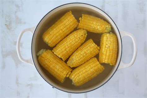 Boiling Corn (Fresh or Frozen) - Whole Lotta Yum