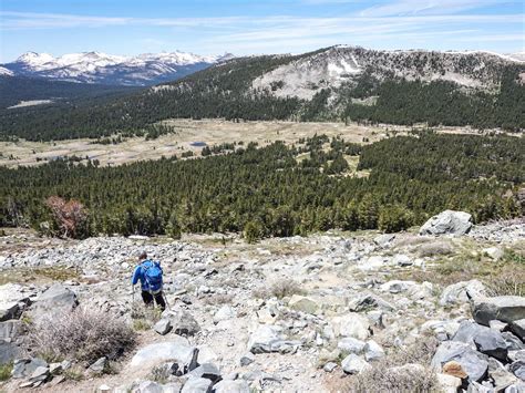 Mount Dana Hike Yosemite National Park 10adventures