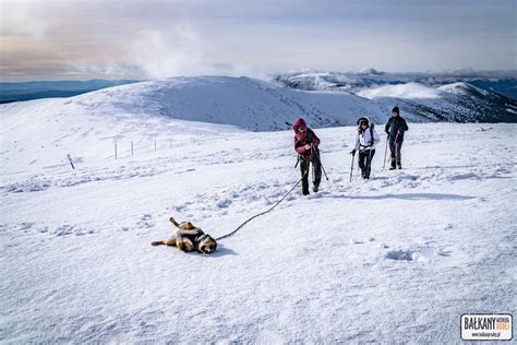 Ni Ne Tatry Z Psem Trekking Z Magurki Na Chabenec Ba Kany Wed Ug Rudej