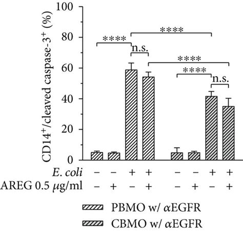 Intracellular Levels Of Cleaved Caspase And Cleaved Caspase In Pbmo