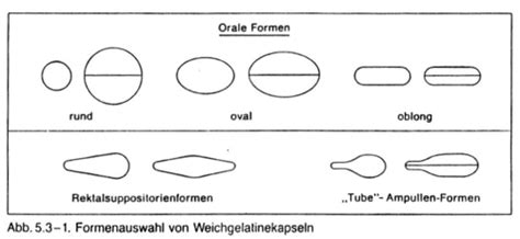 Kapseln II Karteikarten Quizlet