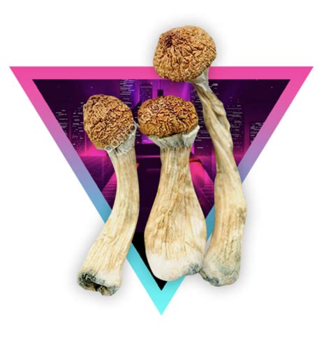 Jedi Mind Fuck Magic Mushrooms ShroomBros