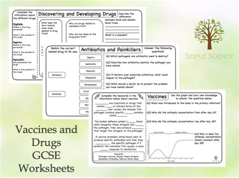 Gcse Biology Vaccines Antibiotics And Drug Development Worksheets Teaching Resources