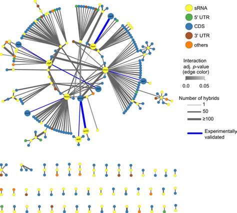 Small RNA Interactome Of S Aureus JKD6009 Individual RNAs Are