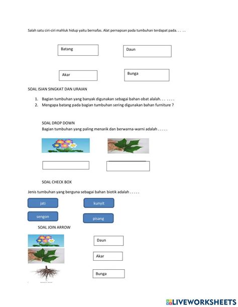 Bagian Bagian Dari Tumbuhan Worksheet Live Worksheets
