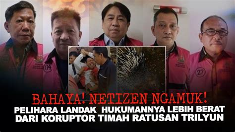 NETIZEN NGAMUK PELIHARA LANDAK DIANCAM HUKUMAN LEBIH BERAT KETIMBANG