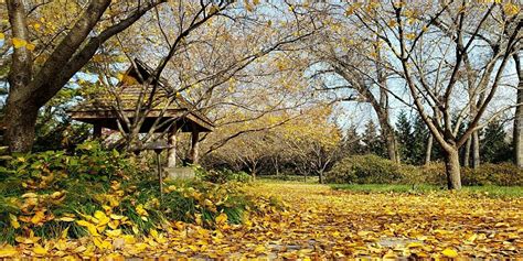 Olbrich Botanical Gardens | Serenity Garden