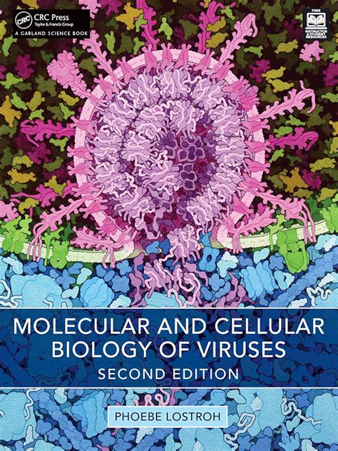 Molecular And Cellular Biology Of Viruses 2nd Edition Vasiliadis