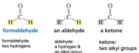 Ochem Ii Chapter Flashcards Quizlet