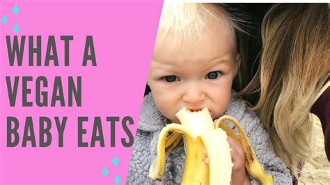 Easy Vegan Toddler Meals What My Vegan Baby Eats In A Day Blw 16