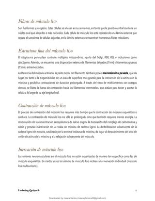 Resumen Tejido Muscular Pdf Descarga Gratuita