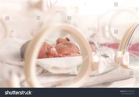 Baby Incubators Images Stock Photos Vectors Shutterstock