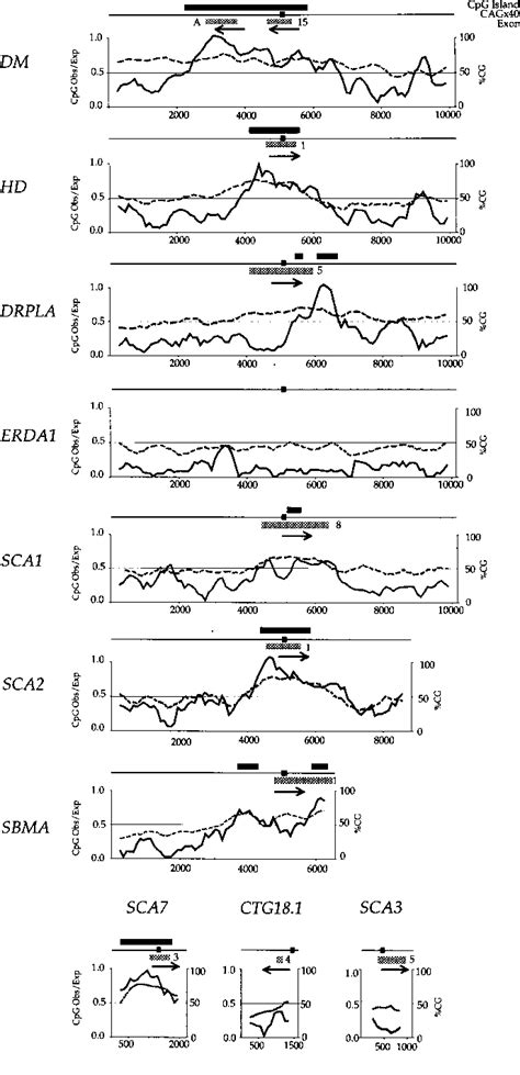 Figure 2 From Cis Acting Modifiers Of Expanded CAG CTG Triplet Repeat