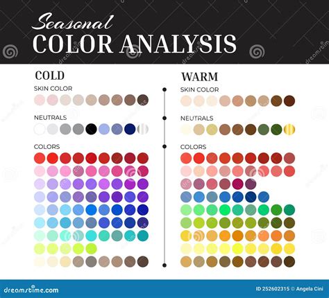 Paleta De Análise De Cores Sazonal Com Amostras De Cores Frias E Quentes Para Cores Da Pele