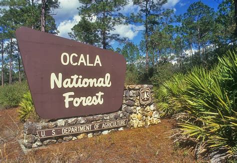 Ocala National Forest - Florida Traveler