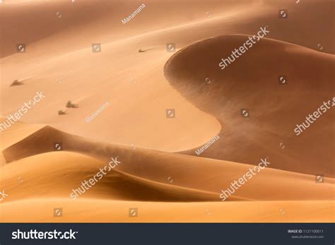 Sahara Desert Panorama Stock Photo 1121100011 Shutterstock