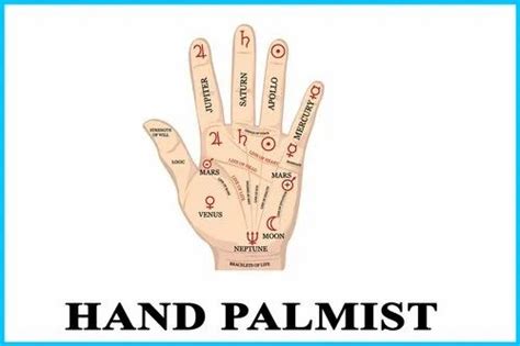 Astrologer Palmist at Rs 999/person in Bengaluru | ID: 24710079633