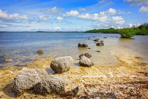 Key Largo Snorkeling A Detailed Guide On Tours Spots More