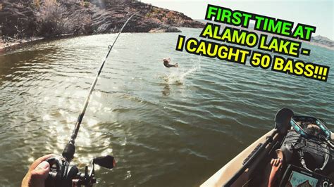 First Time At Alamo Lake Az I Caught Bass Fishing