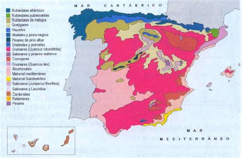 Mundocontempor Neo Los Dominios Vegetales De Espa A