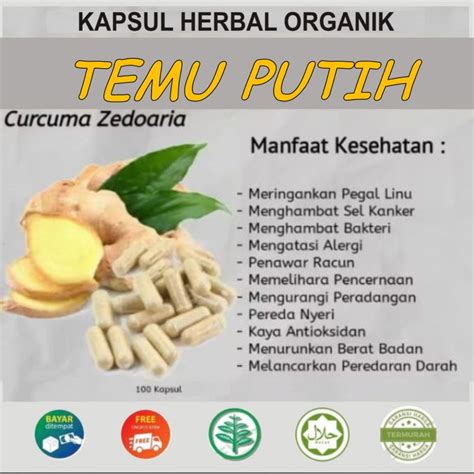 Jual KAPSUL TEMU PUTIH 100 HERBAL MURNI Shopee Indonesia